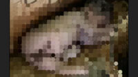 InShot_20260718_134841033